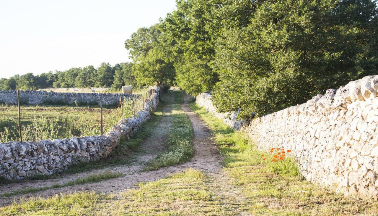 Trulli Sul Vignale In Masseria Santalachicca Martina Franca Bagian luar foto