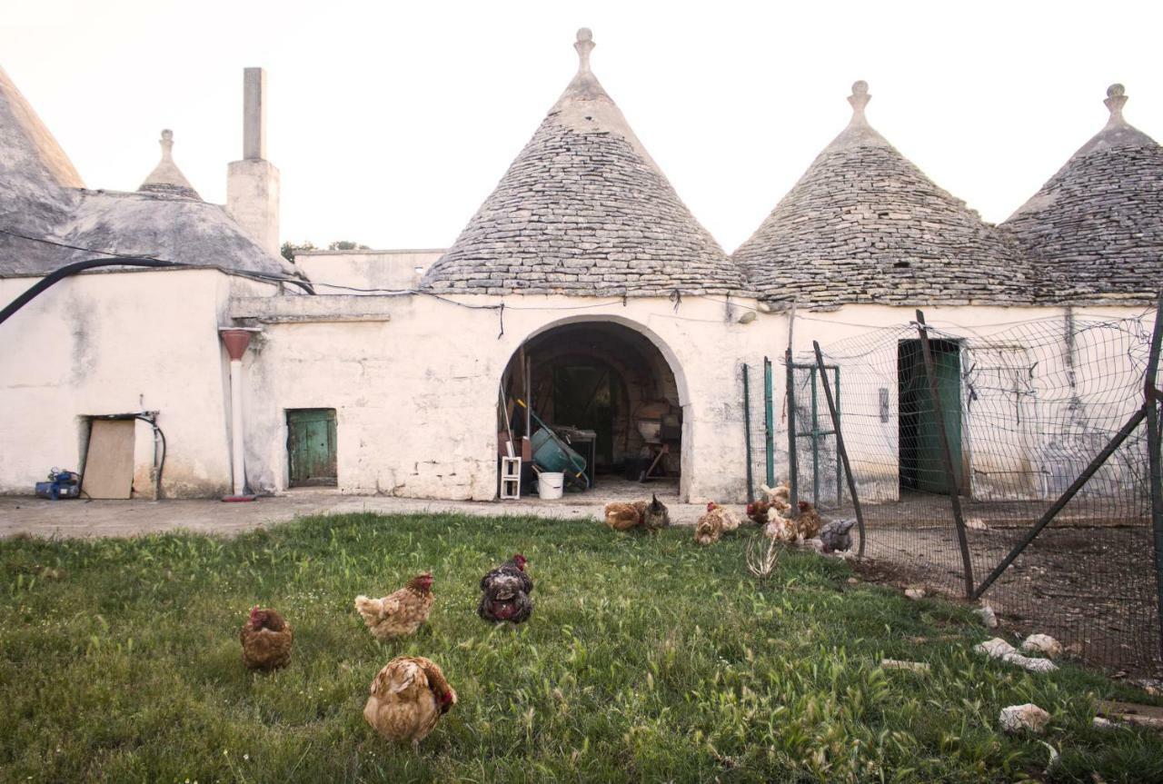 Trulli Sul Vignale In Masseria Santalachicca Martina Franca Bagian luar foto
